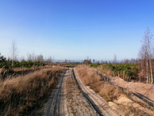 IMG 20201029 133637.jpg