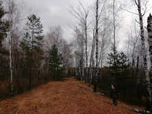 IMG 20201024 104432.jpg