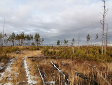 IMG 20201115 120709.jpg