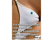 Screenshot 20201101 010505.jpg