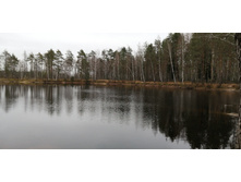 IMG 20201101 122110.jpg