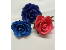 IMG 20201025 173639.jpg