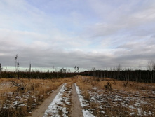 IMG 20201115 114219.jpg