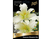 2020 ������� ������� ��� * �������� ���������