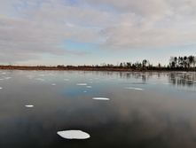 IMG 20201121 131506.jpg