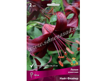 2020 ���� ������ ����� ���������