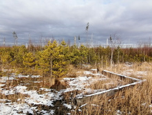 IMG 20201115 120158.jpg