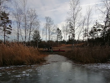 IMG 20201121 134429.jpg