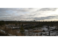 IMG 20201115 124621.jpg