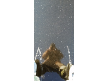 IMG 20201118 122338.jpg