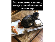 ��� �������� �������, ����� � ����� ������� ���-�� ��� ...