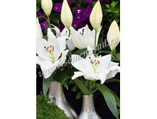 2021 ����������� ����� ���������