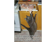 ��� � ����, ������ �� ������, � ��� ����� �� ���� � �� ���������!