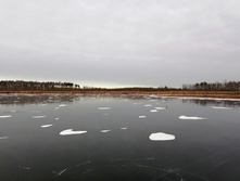 IMG 20201122 114654.jpg