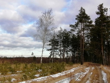 IMG 20201115 132156.jpg