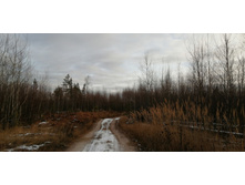 IMG 20201115 124228.jpg