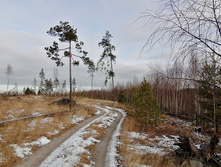 IMG 20201115 114402.jpg