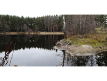 IMG 20201101 122929.jpg