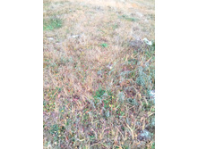 20201114 � ������� 1216.jpg