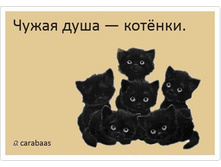 ����� ���� - ��ԣ���.