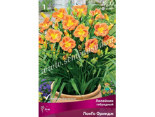 2020 ����� ������ ������� ��� �����! �������� ���������