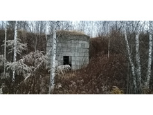 IMG 20201108 073633.jpg