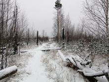 IMG 20201129 100812.jpg