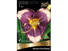 2020 ������ ���� ����� * �������� ���������