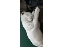 IMG 20201113 112214.jpg