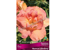 2020 ������� ������� �������� ���������