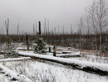 IMG 20201129 100036.jpg