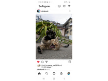 ������ �� ���!