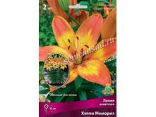 2020 ����� ������� ����� ���������