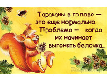 �������� � ������ - ��� ��� ���������. �������� - ����� �� �������� �������� �������...