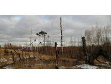 IMG 20201115 123631.jpg