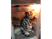 ��� � ����� ������� ������!