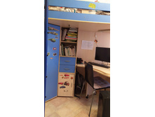 IMG 20201101 130156 1.jpg