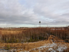 IMG 20201115 121820.jpg