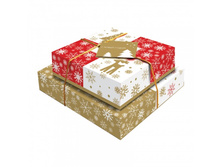 ���������� ����� 4 �����������, 320� ���� 290 �