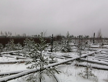 IMG 20201129 104045.jpg