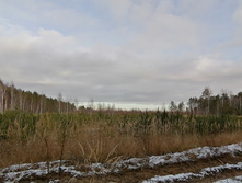 IMG 20201115 113216.jpg