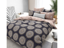 �������� ���� ���� 220 ��