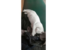 IMG 20201113 112201.jpg