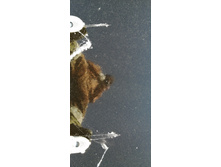 IMG 20201118 123018.jpg