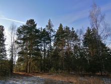 IMG 20201121 113432.jpg