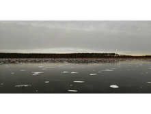 IMG 20201122 120737.jpg