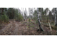 IMG 20201108 115302.jpg