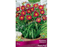 2020 ����� ��� ������� ��� �����! �������� ���������