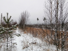 IMG 20201129 094548.jpg