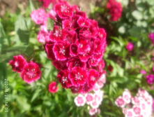 IMG 20200628 140503.jpg
